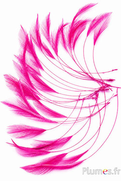 Haan - 10-15 cm - fuchsia